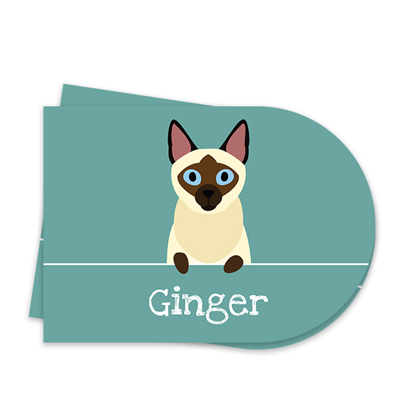 CatBreedSiameseOnLine