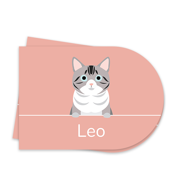 CatBreedTigerOnLine CatBreedTigerOnLine