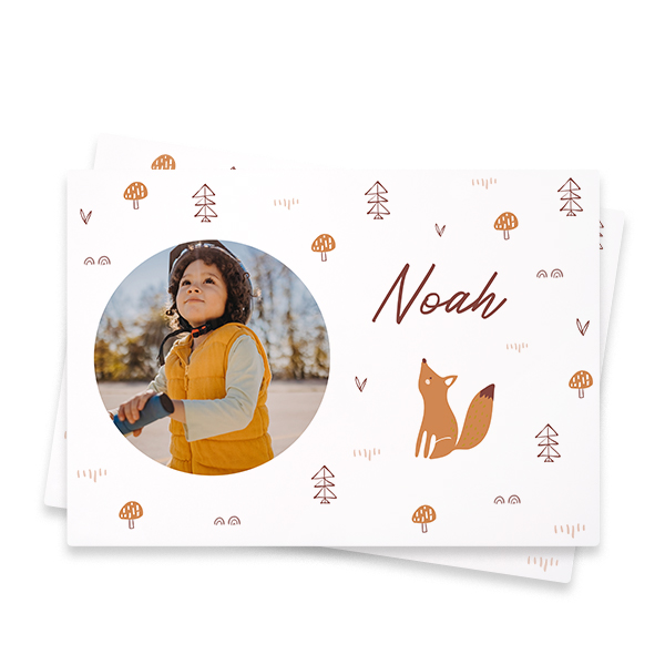 FoxPattern FoxPattern