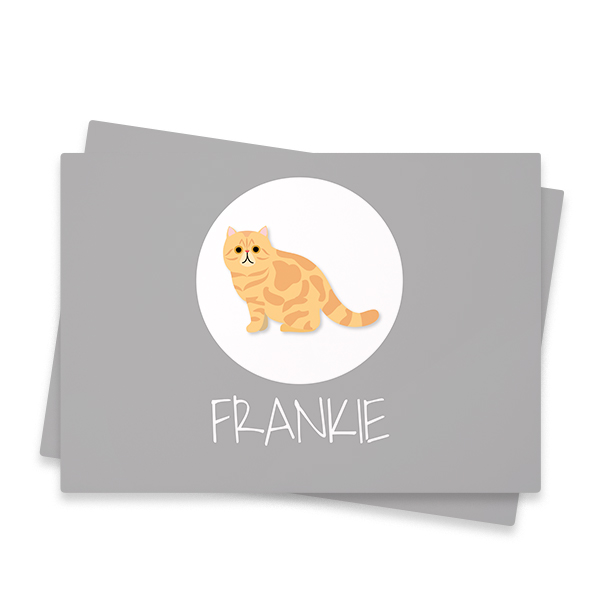 CatBreedGingerProfile