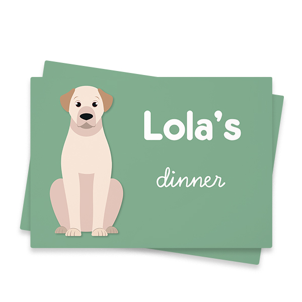 DogBreedLabradorFront