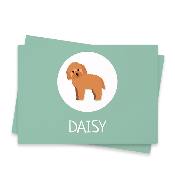 DogBreedToyPoodleProfile DogBreedToyPoodleProfile