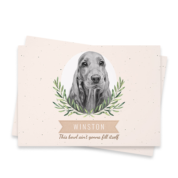 LaurelFrame LaurelFrame