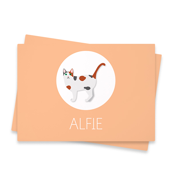 CatBreedCalicoProfile