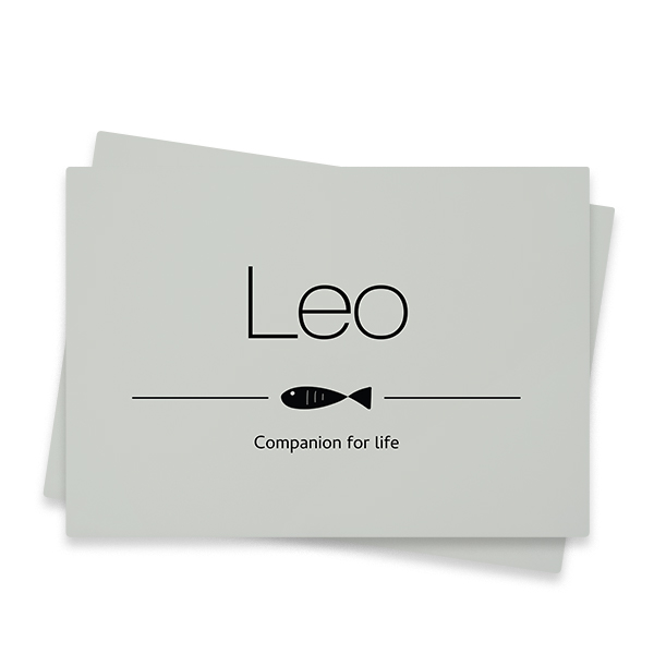 FishDividerTO FishDividerTO