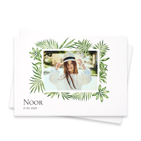 Tropical Plant Frame