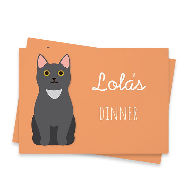 CatBreedBlackcatFront CatBreedBlackcatFront