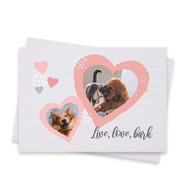 PetLoveCollage PetLoveCollage