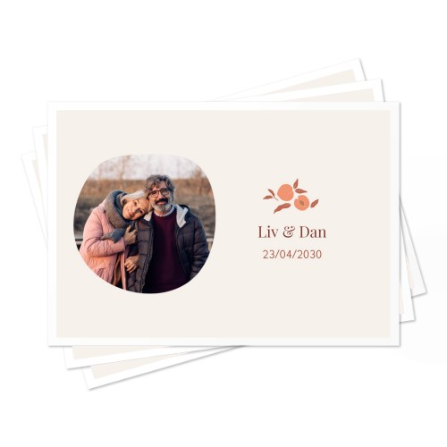 Set of Placemats - set of 24 Set of Placemats - set of 24