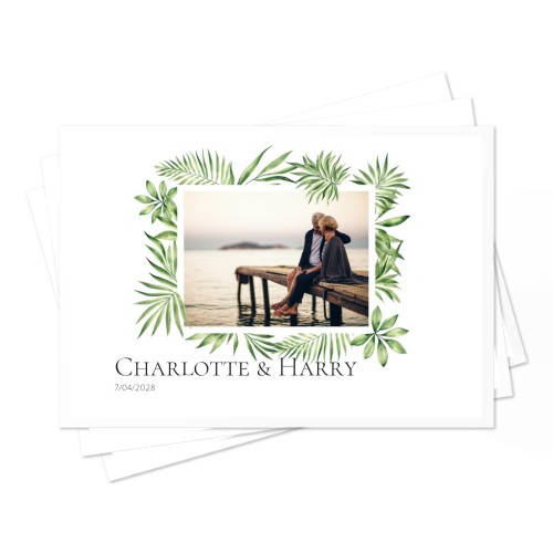 Set of Placemats - set of 24 Set of Placemats - set of 24