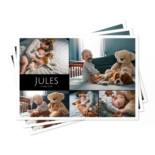 Set de table Safari dans la jungle - lot de 24