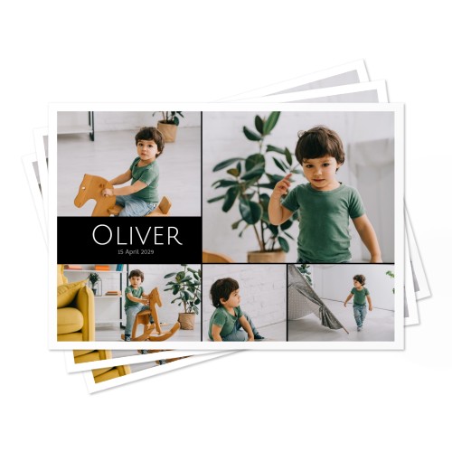 Set of Placemats Jungle Safari - set of 24