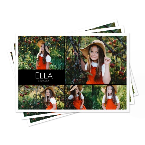 Set de table Safari dans la jungle - lot de 24