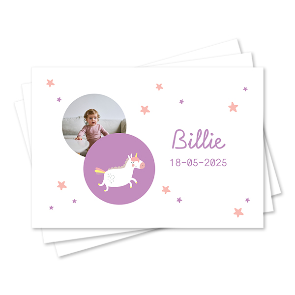 Tischset Dschungelsafari - 24 Stk.