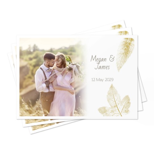 Set de table Safari dans la jungle - lot de 24