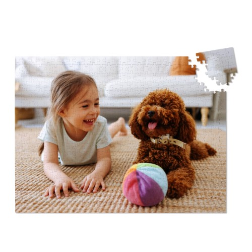 Puzzel 500 stukjes (hard karton) Puzzel 500 stukjes (hard karton)