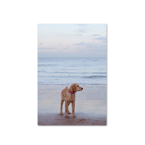 Stickers Rectangle S 6 x 9cm - set of 8 Stickers Rectangle S 6 x 9cm - set of 8