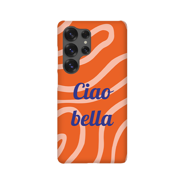 Coque Samsung Galaxy S25 Ultra
