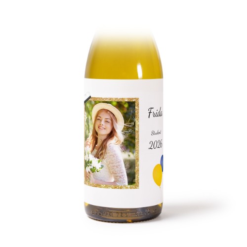 StudentFrame StudentFrame