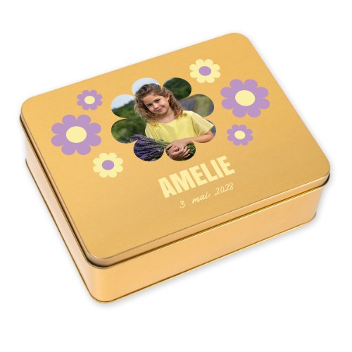 Daisy Shape Daisy Shape