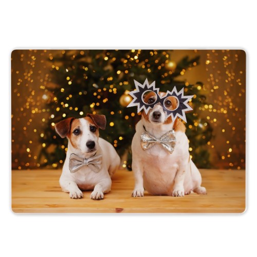 Photo Only Photo Only