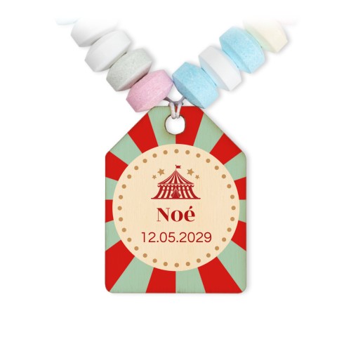 Circus Ticket Circus Ticket