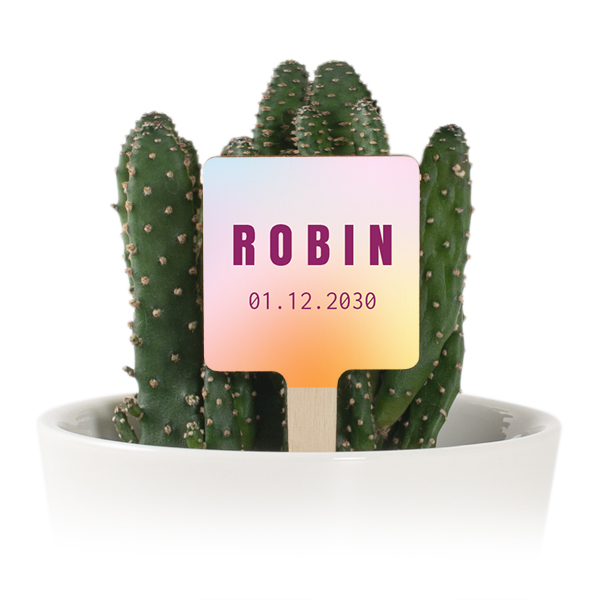 Plant Pot with UV Printed Wooden Label - Set of 12 Plant Pot with UV Printed Wooden Label - Set of 12