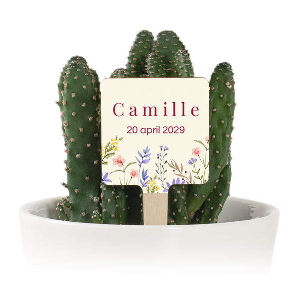Pot de fleurs avec étiquette en bois impression couleur - lot de 12 Pot de fleurs avec étiquette en bois impression couleur - lot de 12