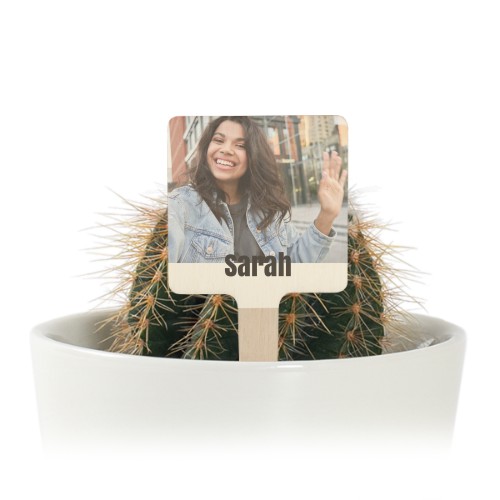 Pot de fleurs avec étiquette en bois impression couleur - lot de 12 Pot de fleurs avec étiquette en bois impression couleur - lot de 12
