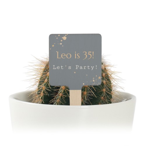 GoldSparklesPartyTO GoldSparklesPartyTO