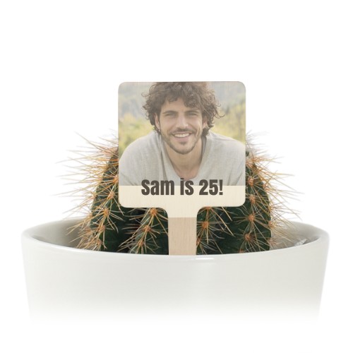 Pot de fleurs avec étiquette en bois impression couleur - lot de 12