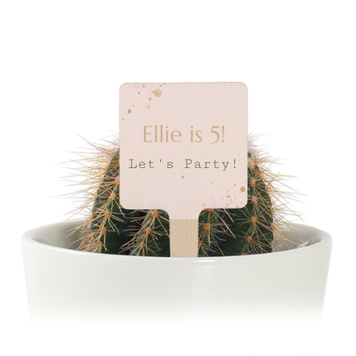 Bloempot met full color print houten plantenlabel (set van 12) Bloempot met full color print houten plantenlabel (set van 12)