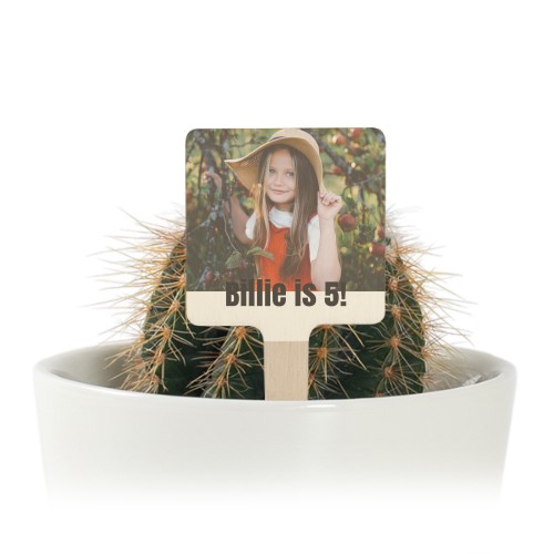 Plant Pot with UV Printed Wooden Label - Set of 12