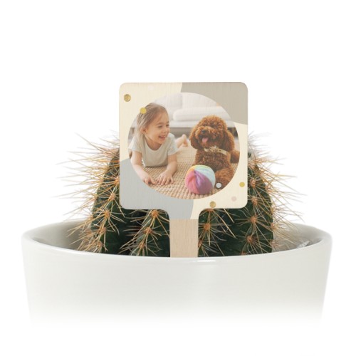 Joyful Colours Joyful Colours