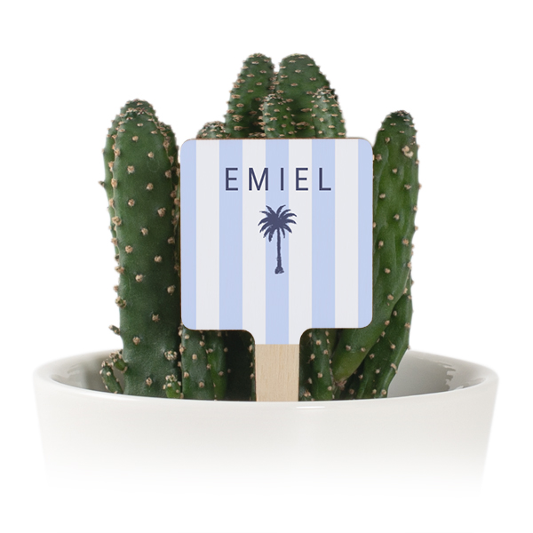 Plant Pot with UV Printed Wooden Label - Set of 12