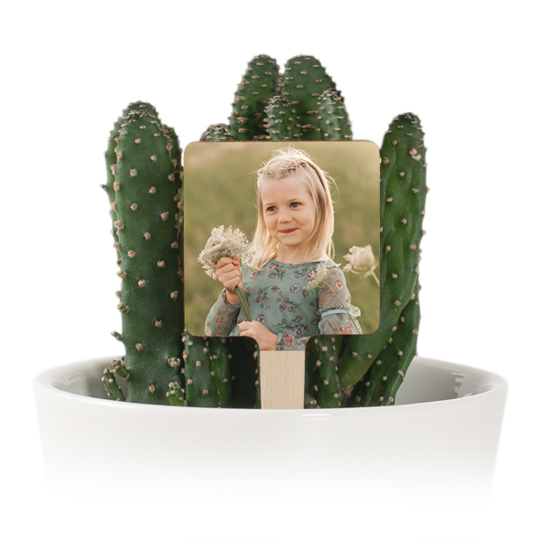 Plant Pot with UV Printed Wooden Label - Set of 12