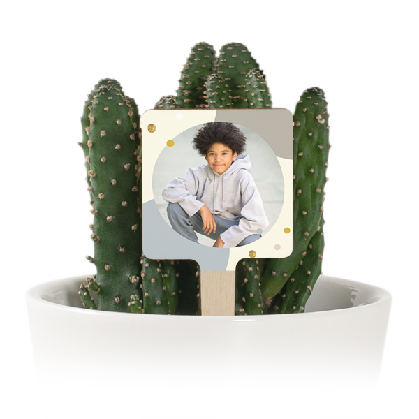 Bloempot met full color print houten plantenlabel (set van 12)