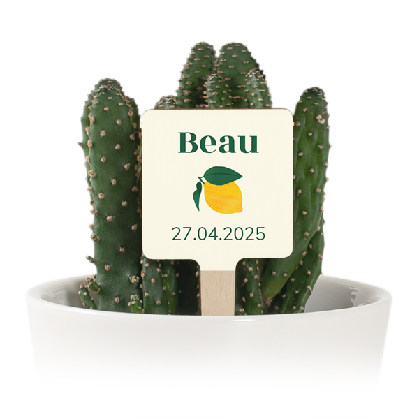 Pot de fleurs avec étiquette en bois impression couleur - lot de 12 Pot de fleurs avec étiquette en bois impression couleur - lot de 12