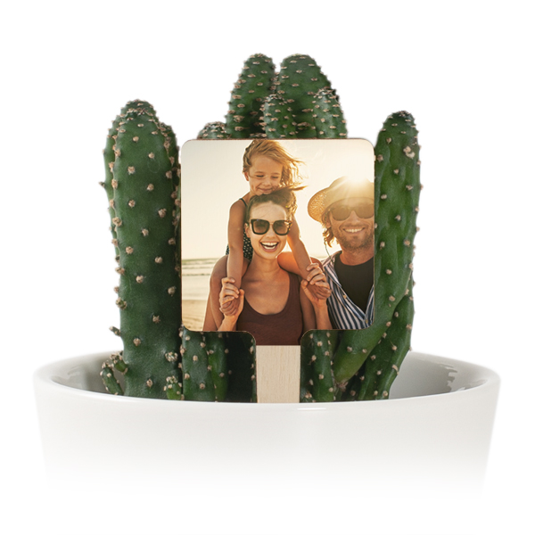 Urtepotte med planteetiket med tryk - 12 stk Urtepotte med planteetiket med tryk - 12 stk