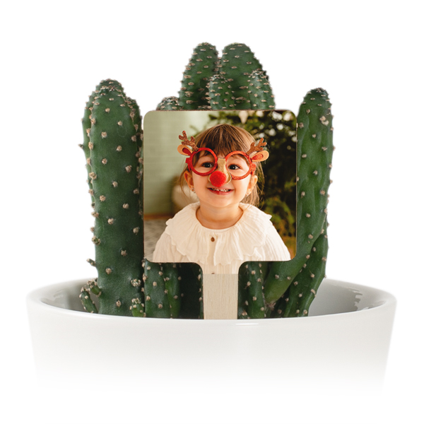 Kukkaruukku kasvietiketillä ja painatuksella - 12 kpl