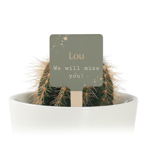 Plant Pot with UV Printed Wooden Label - Set of 12 Plant Pot with UV Printed Wooden Label - Set of 12