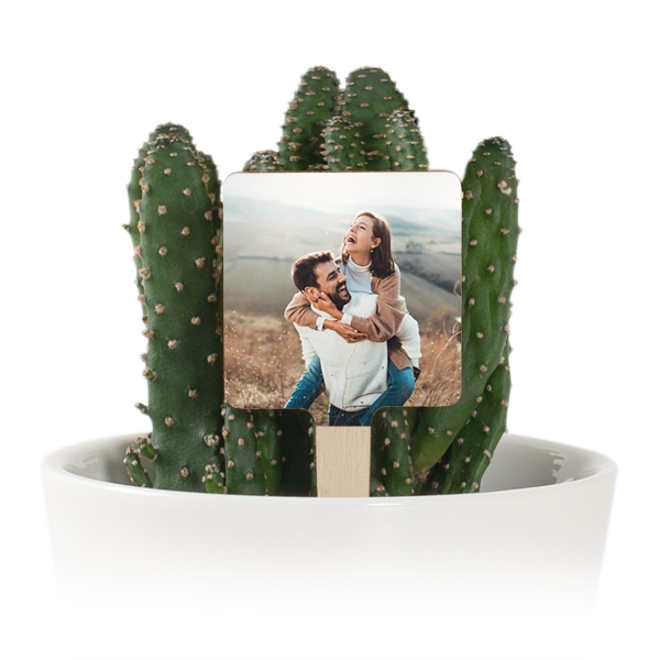 Photo Only Photo Only