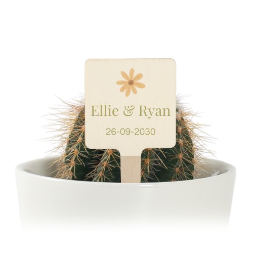 Pot de fleurs avec étiquette en bois impression couleur - lot de 12 Pot de fleurs avec étiquette en bois impression couleur - lot de 12