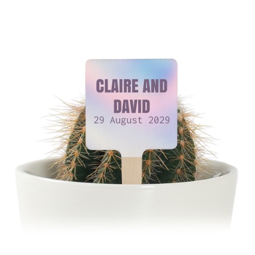 Pot de fleurs avec étiquette en bois impression couleur - lot de 12