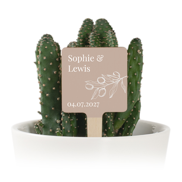 Pot de fleurs avec étiquette en bois impression couleur - lot de 12