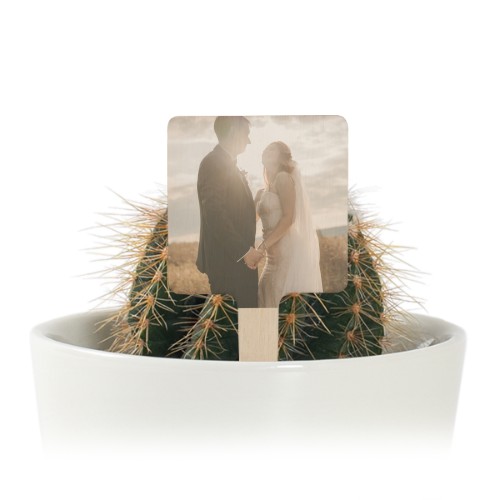 Blumentopf und Pflanzenstecker aus Holz mit Vollfarbdruck - 12 Stk.