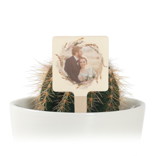 Plant Pot with UV Printed Wooden Label - Set of 12