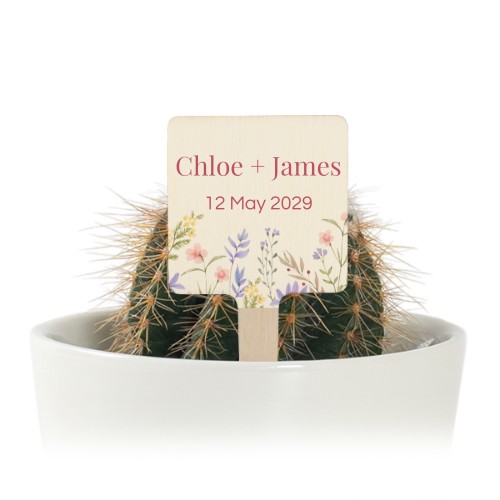 Plant Pot with UV Printed Wooden Label - Set of 12