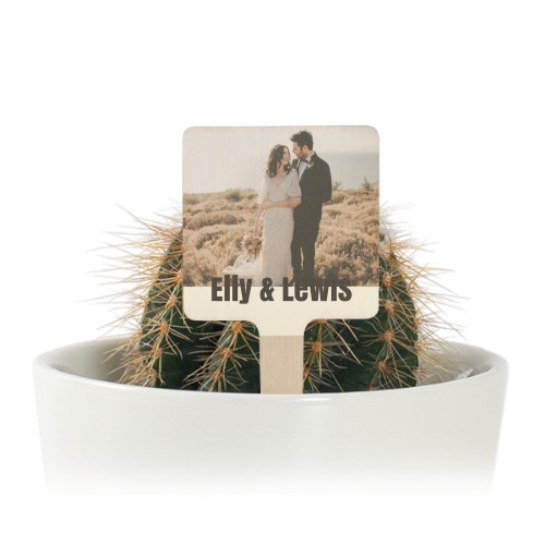 Bloempot met full color print houten plantenlabel (set van 12) Bloempot met full color print houten plantenlabel (set van 12)