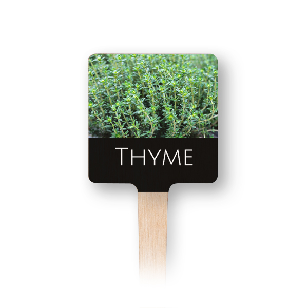 Houten plantenlabel full colour print (set van 12)